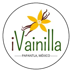 Logo iVainilla